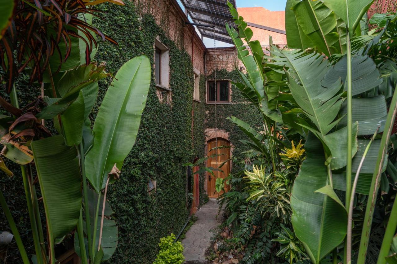 Hotel Casa De Sierra Azul Oaxaca Exterior foto